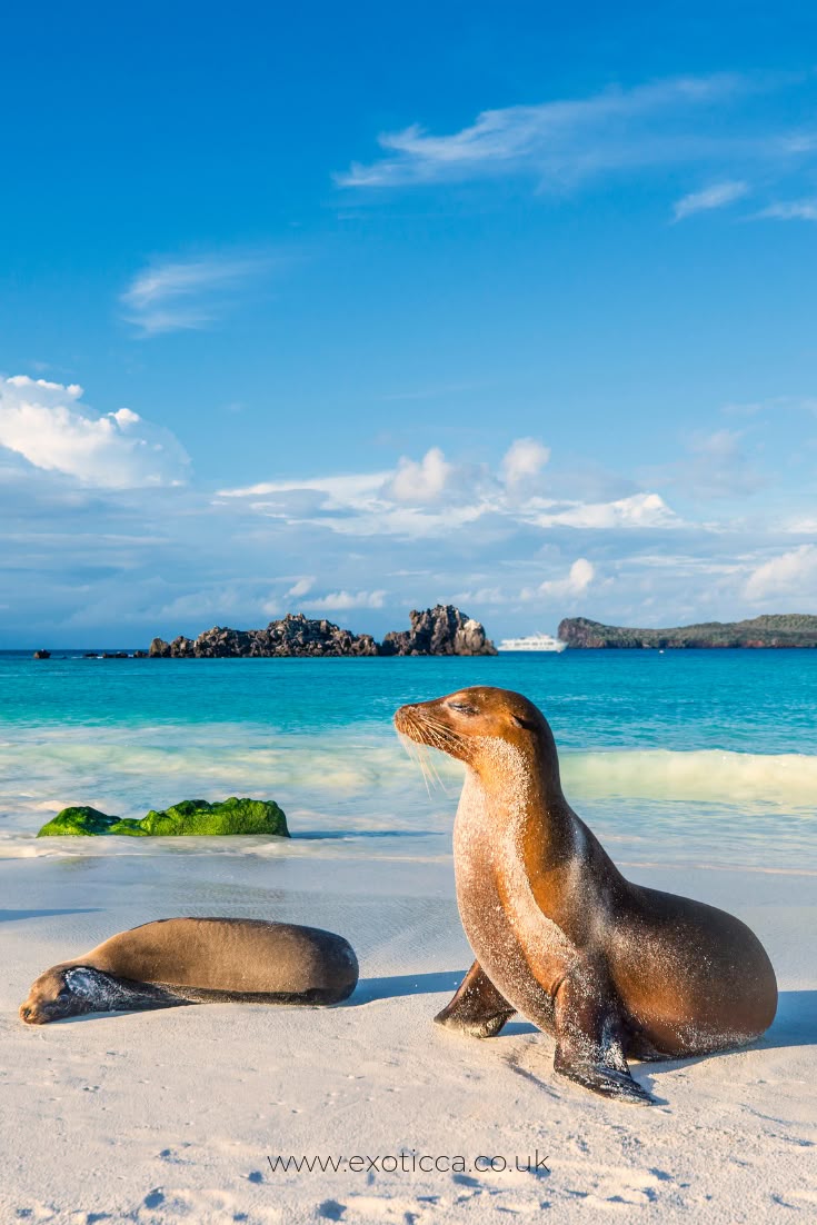 The world's top ten destinations for travel