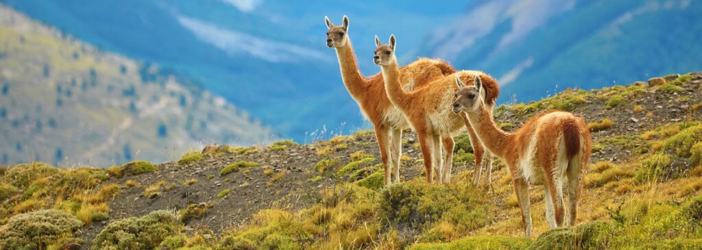 The world's top ten destinations for travel