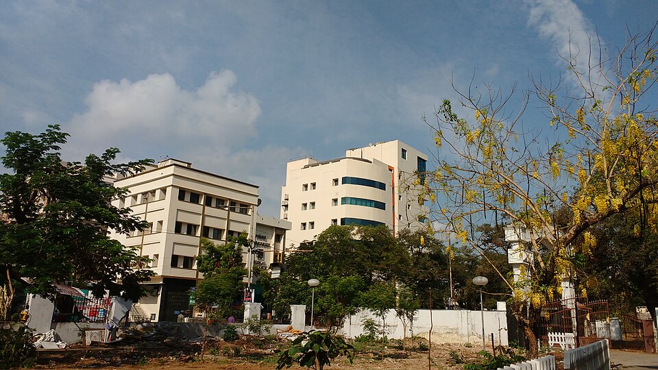 India's best Hospitals for Brain